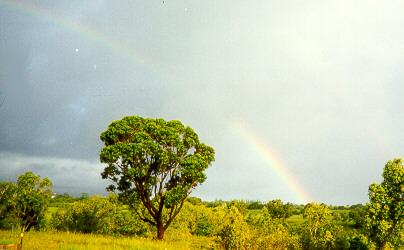 A (double) rainbow in Princeville