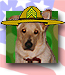 Picture of SgtBaxter