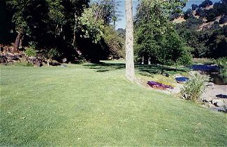 Recreation lawn