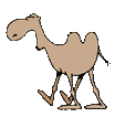 camel graphic (7k)