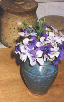 Violets and Forget-me-nots