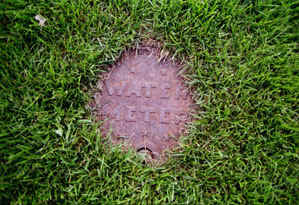 Water Meter in the Grass