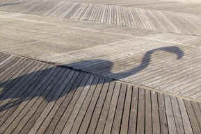 Pelican Shadow on the Boardwalk