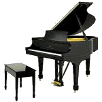 Learn to play today!