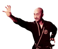 Grand Master Wai Hong