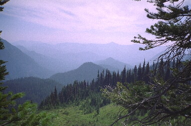 [view from Mount Rainier]