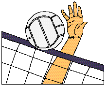 Volleyball