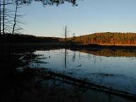 Bog View - Nature Area