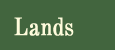 Home Page Link