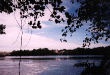 Image from Curtis Pond