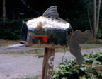 Fish Mailbox