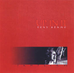 Up In It - Tony Adamo