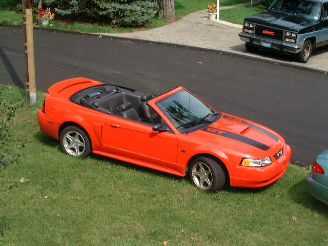 mustang 2k.jpg (157048 bytes)