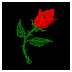 [Bouwerie Rose Logo]