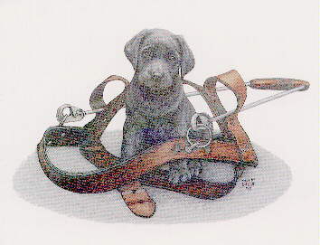 guidepup.jpg (17495 bytes)