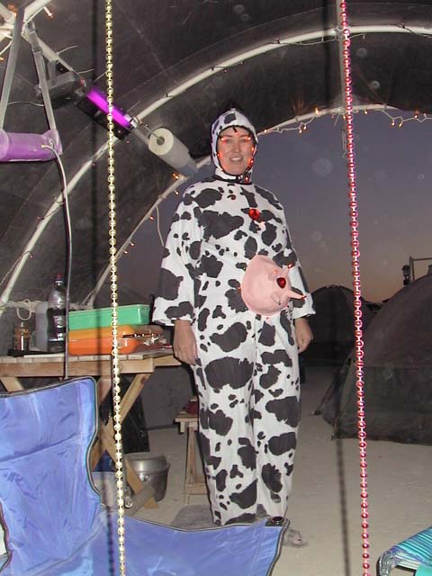 image/aut_0655.jpg, 60.1K, Oh no!  It's the MAD COW!!!!