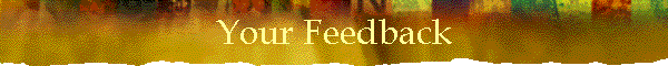Your Feedback