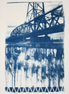Karen Molloy - cyanotype
