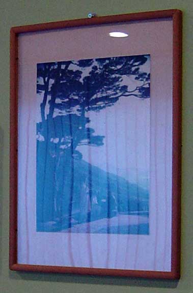 Japanese Photographs