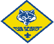 cubpack22000.gif