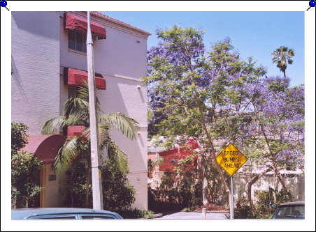 Sydney - Milson Apts