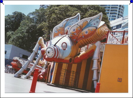 Sydney - Luna Park spider