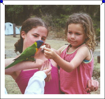 Pebbly Beach - kids feeding parrot 01