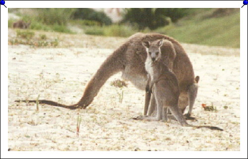 Pebbly Beach - mom and baby