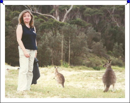 Pebbly Beach - Marie and kangaroos