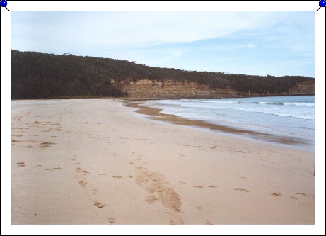 Pebbly Beach - beach