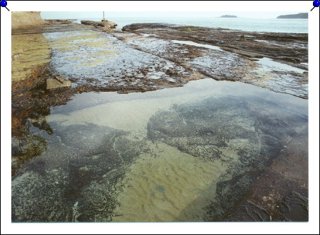 Pebbly Beach - tidepool