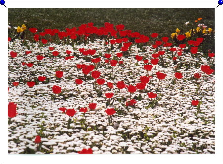 Canberra - Floriade 06