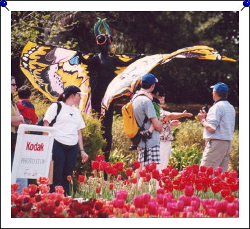 Canberra - Floriade 09