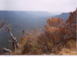 Blue Mountains - panorama 04