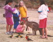 Pebbly Beach - kids, parrots, kangaroo