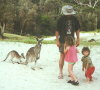 Pebbly Beach - kangaroo and human families