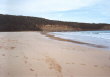 Pebbly Beach - beach