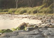 Pebbly Beach - rocks, kangaroos