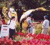 Canberra - Floriade 09