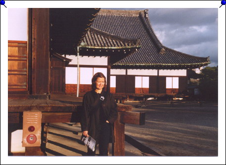 Kyoto - Nijo castle camilla