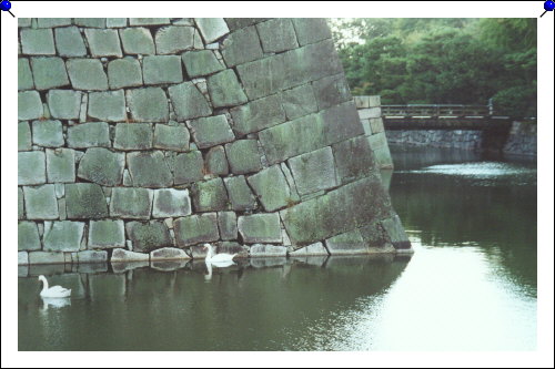 Kyoto - Nijo castle moat