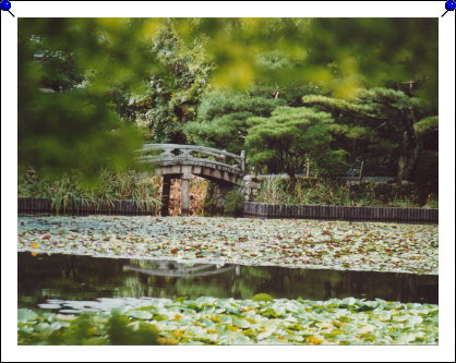 Kyoto - Ryoanji garden bridge