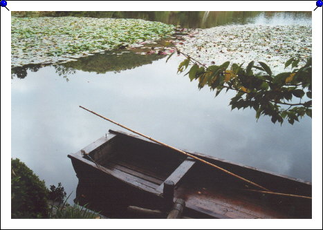 Kyoto - Ryoanji lake boat