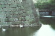 Kyoto - Nijo castle moat