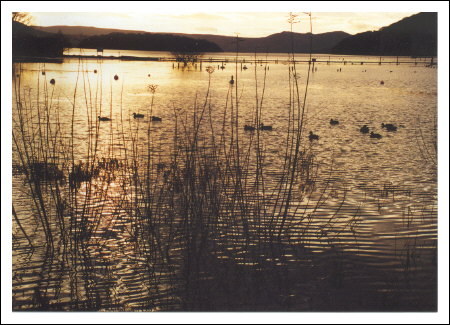 loch lomond near balmaha