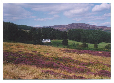 heather near amulree