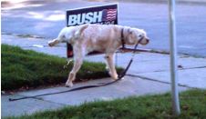 Apparently animals have more sense than most Americans!