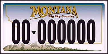 State of MT plate