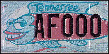 State of TN plate