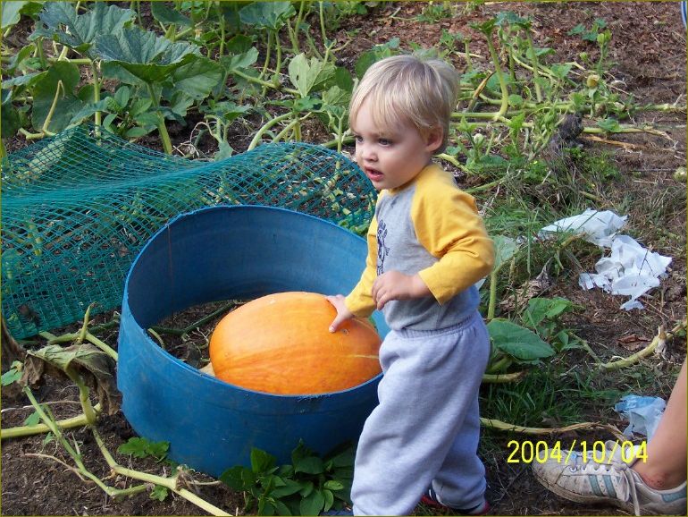 Pumpkin?